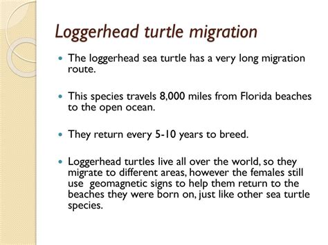 Sea Turtle Migration By: Evan Banbury. - ppt download