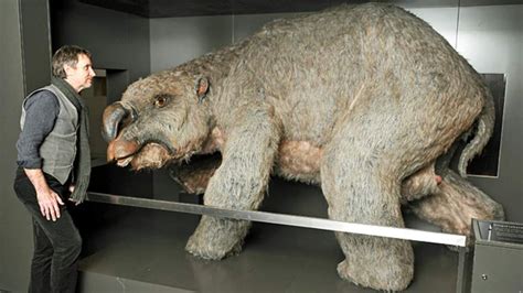 Graveyard Of Rhino-Sized Mega-Wombats Found | Scoop News | Sky News