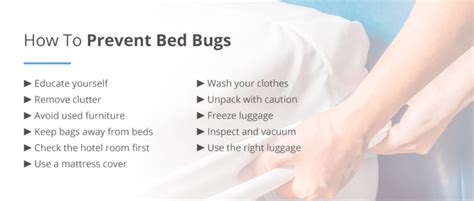 Chapter 4: Bed Bug Prevention and Treatment Options – Pestech Pest ...