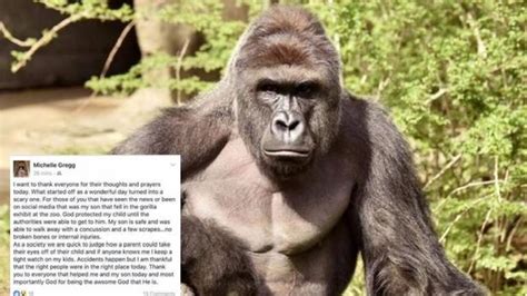 Mum Fires Back At Online Hate Over Gorilla's Death, Says "Accidents Happen"