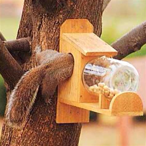 Jar Squirrel Feeder Plans - WoodWorking Projects & Plans