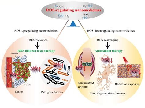 Reactive Oxygen Species‐Regulating Strategies Based on Nanomaterials ...