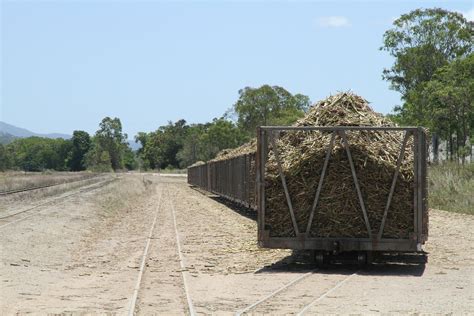 Succession Planning: The Family Farm