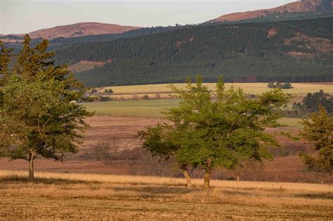 Family Safari - Mlilwane Wildlife Sanctuary - Airports and Sunsets