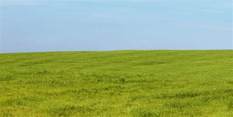 Edit free photo of Grass,sky,green blue,background,wallpaper - needpix.com