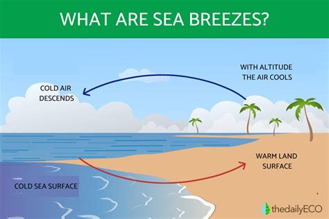 Sea Breezes - What They Are and Why Do They Occur?