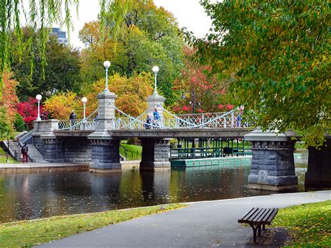 Rediscover the Boston Public Garden and Surrounding Area through the ...