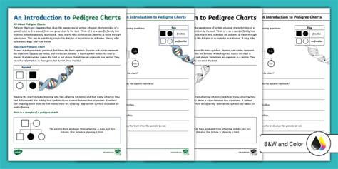 Pedigree Charts Worksheet | Sixth Grade Science | Twinkl USA