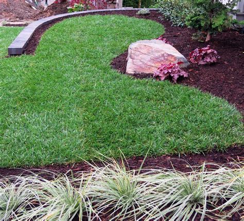 Tall Fescue Lawn - John Darby Landscape, Inc.