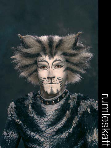 Munkustrap Cats Musical, Musical Theatre, Jellicle Cats, Cat Call ...