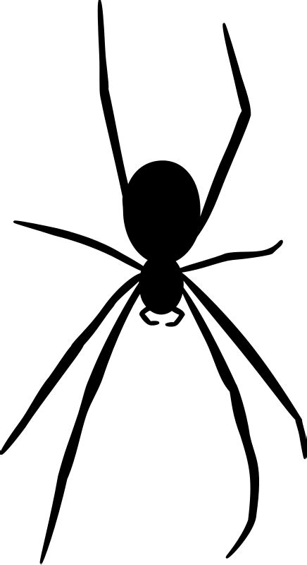 Spider Silhouette Clip Art