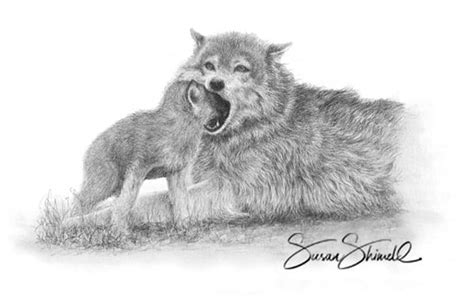 'Feeding Young Cub' Wolf Drawing. (Canis lupus) Wolf Art, Paintings ...