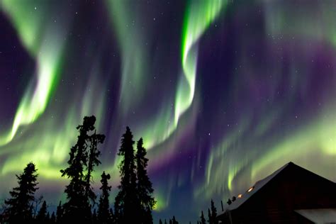 Aurora in Fairbanks & Beyond | Travel Alaska