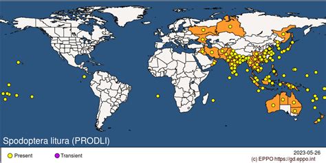 Spodoptera litura (PRODLI)[Datasheet]| EPPO Global Database