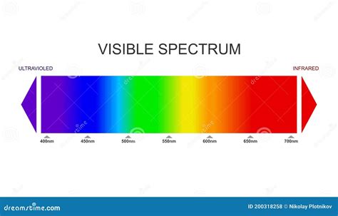 Visible Light Spectrum. Color Waves Length Perceived By Human Eye ...