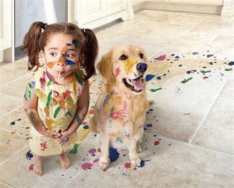 yours friend: playing kid with dog