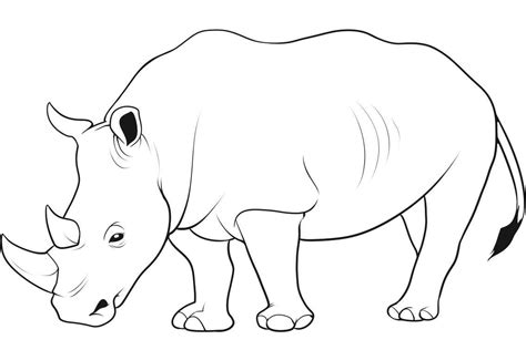 Animals Drawing For Colouring at GetDrawings | Free download