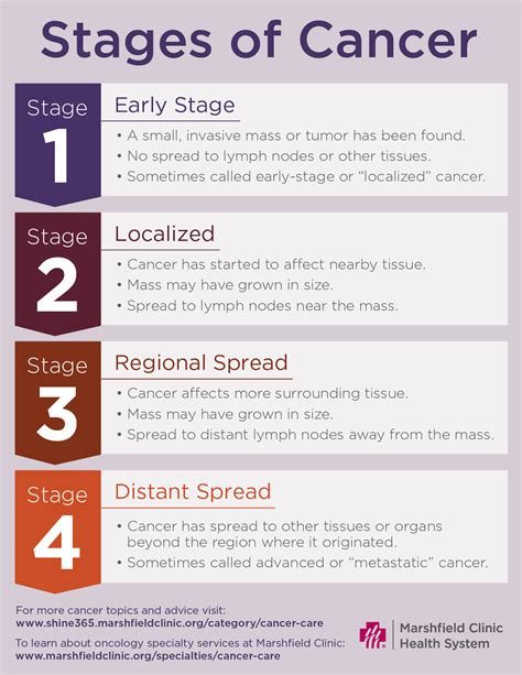 A guide: Cancer stages, terms and side effects | Shine365 from ...