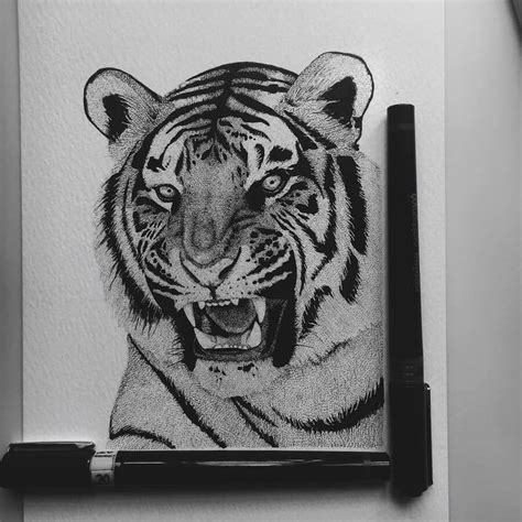 Realistic Stippling Drawings | Stippling drawing, Pen art drawings ...