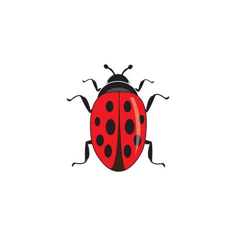 beetle icon logo vector 10836685 Vector Art at Vecteezy