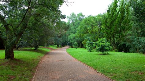 Family friendly Johannesburg Botanical Garden, Randburg holiday homes ...