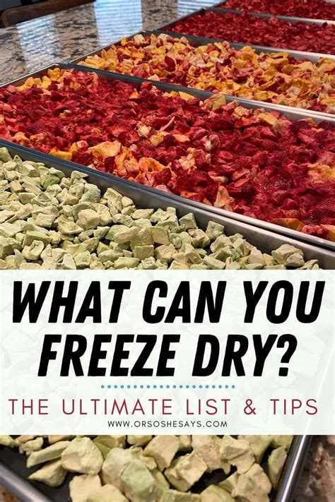 Foods You Can Put In Your Freeze Dryer ~ The Ultimate List & Tips ...