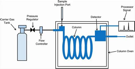 Gas Chromatography (GC): Principle, Parts and Uses • Microbe Online