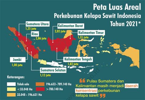 Ini Provinsi Penghasil Kelapa Sawit Terbesar Di Indonesia Dari Sumatera ...