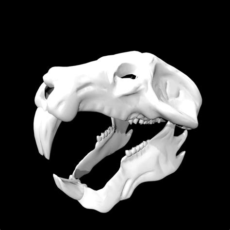 Mouse skull 3d model Low Poly AR 3d Model - Team 3d Yard