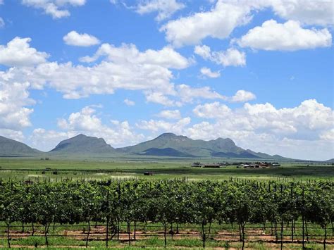 Sonoita, Arizona - The Ultimate Visitors Guide