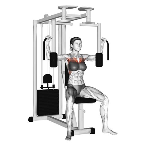 Pec Deck Machine: Benefits, Muscles Worked, and More - Inspire US