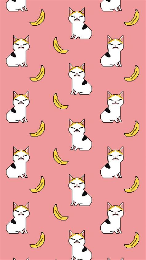 Banana Cat Wallpapers - Top Free Banana Cat Backgrounds - WallpaperAccess