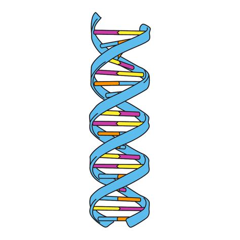 Tattoo My Science: Double-Helix - Gurdon Institute