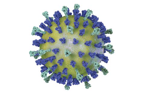 Respiratory Syncytial Virus