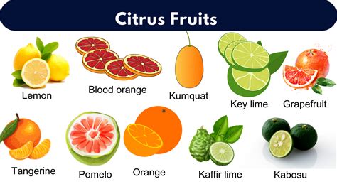 List of All Citrus Fruits | Citrus Fruits Name With Pictures - GrammarVocab