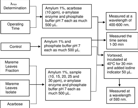 Flow chart of experiment procedures of α-amylase enzyme inhibition ...