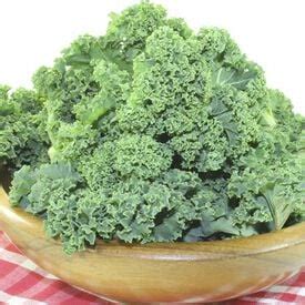 Kale Seeds | Bulk Sales | Urban Farmer