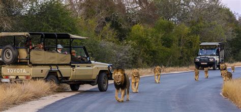 Kruger National Park - Greatest Africa, in northeastern South Africa ...