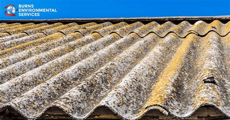 What You Need to Know About Asbestos Shingles