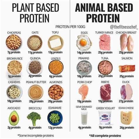 Protein content in Plant based and Animal based proteins : r/Infographics