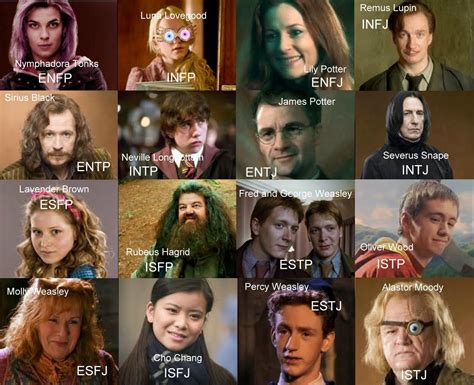 The Erudite Ravenclaw: Myers Briggs and Harry Potter Characters | Myers ...