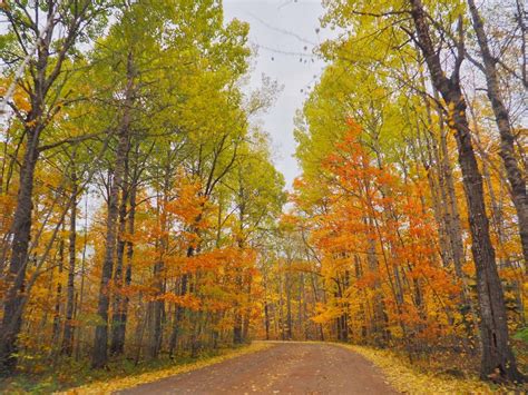 The 7 Best Places to See Fall Colors in Minnesota – HammockLiving