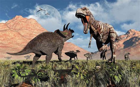 Tyrannosaurus Rex vs. Triceratops in a Dinosaur Fight