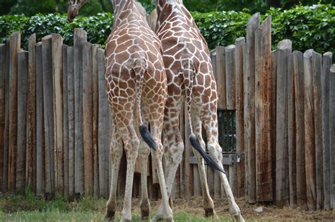 Boise Zoo - Adventures in wildlife