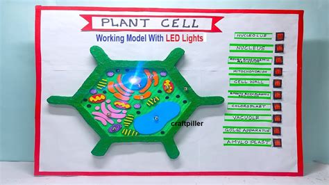 plant cell model working model using LED lights – science project for ...