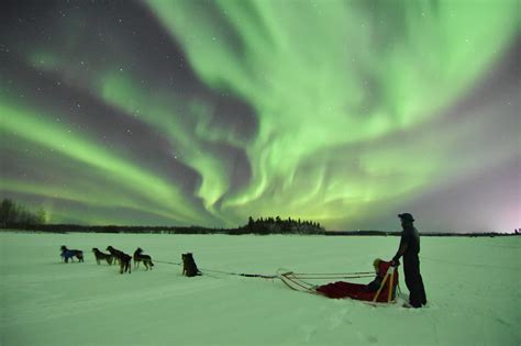 5 Mejores Tours de Auroras Boreales en Fairbanks, Alaska