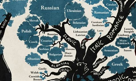 AN INDO-URALIC LANGUAGE TREE. The Indo-European language family and the ...