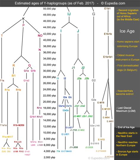 New map of haplogroup J2 (Y-DNA) | Page 5 | Eupedia Forum