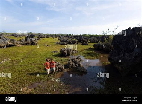 Two children in Coral Garden Wasini Island Coast Kenya Stock Photo - Alamy