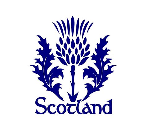 Scotland Thistle Decal Custom Celtic Heritage Vinyl Car Truck Window ...